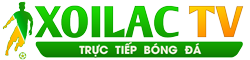 Câu Lạc Bộ Bóng đá Nam định - bxh v league 2023